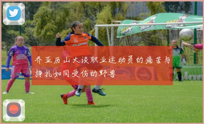 乔亚历山大谈职业运动员的痛苦与挣扎如同受伤的野兽