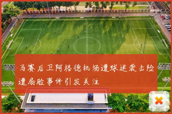马赛后卫阿格德机场遭球迷袭击险遭扇脸事件引发关注