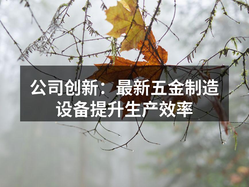 引进的新型数控机床